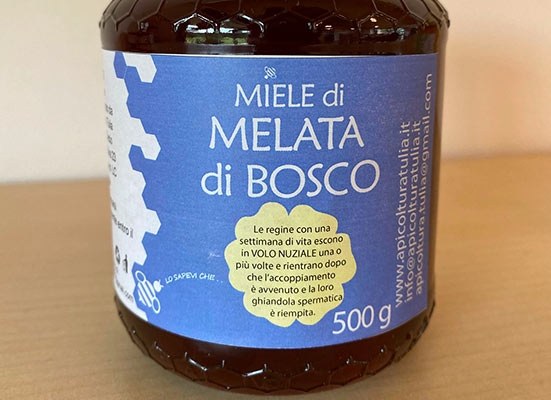 Miele di melata di bosco 500g